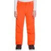 QUIKSILVER ARCADE YOUTH PT SHOCKING ORANGE 23 1 QUIKSILVER ARCADE YOUTH PT SHOCKING ORANGE 23 -Ski Promotion Magasin 9 80649 arcade youth pt shocking orange eqbtp03034 nkr0 01